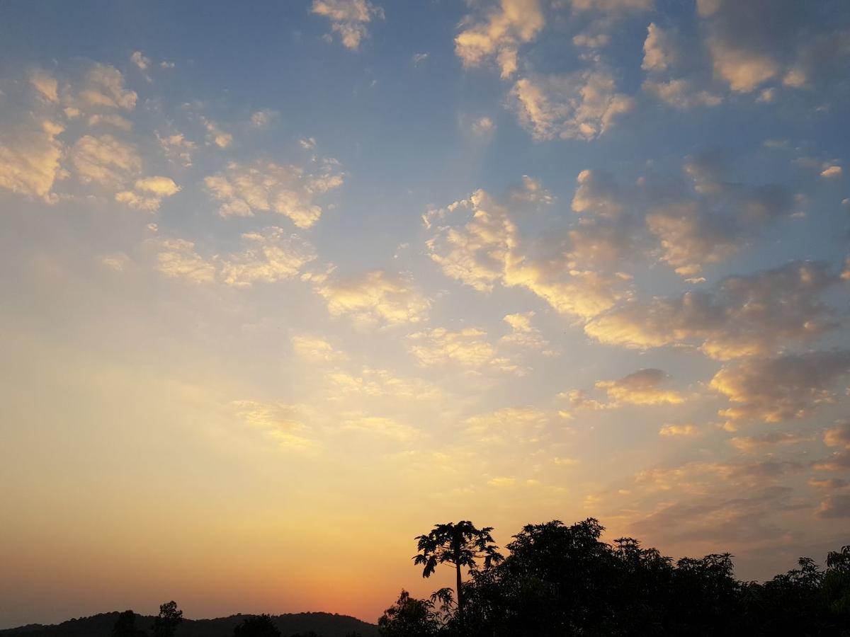Hiran Holidays Sasan Gir Dış mekan fotoğraf