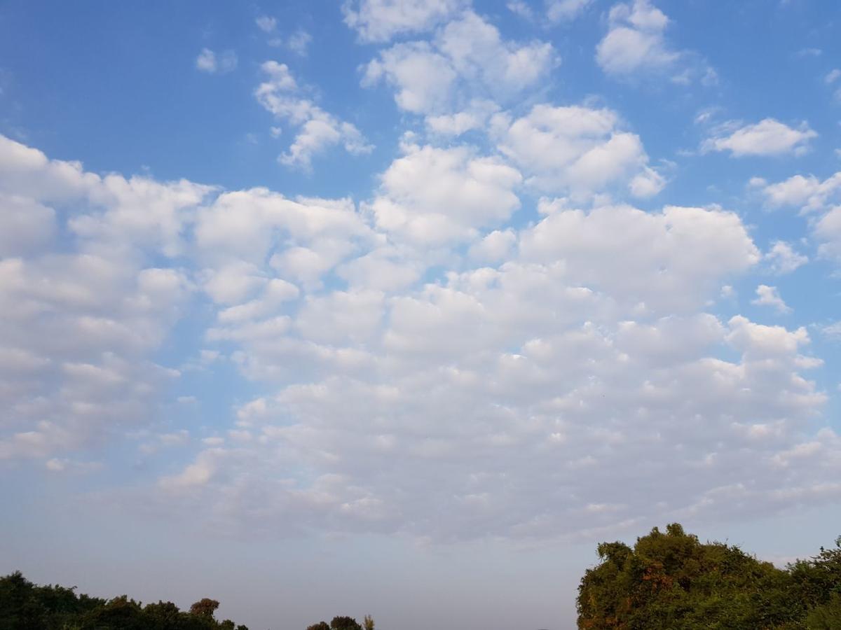 Hiran Holidays Sasan Gir Dış mekan fotoğraf