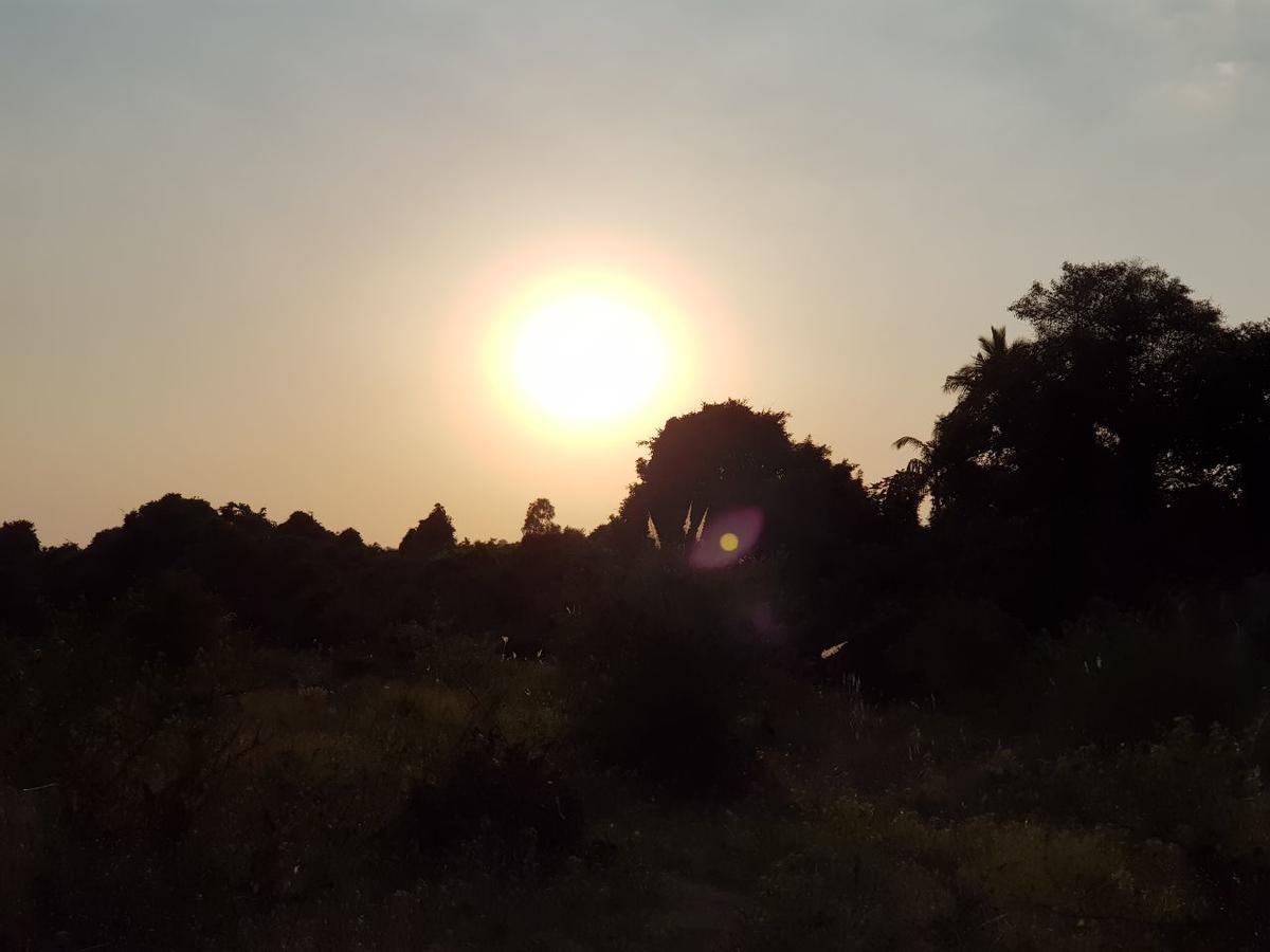 Hiran Holidays Sasan Gir Dış mekan fotoğraf