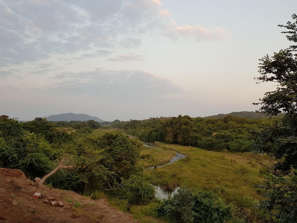 Hiran Holidays Sasan Gir Dış mekan fotoğraf